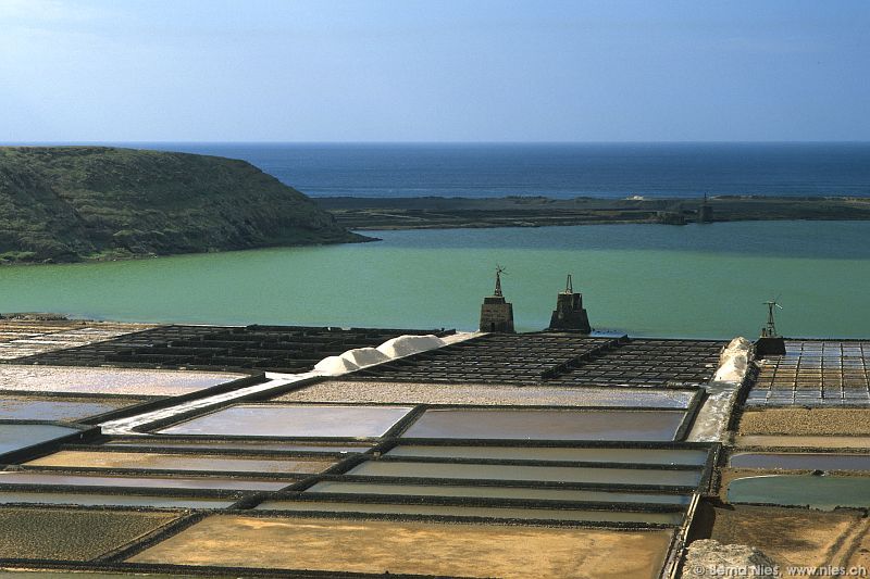 Salinas de Janubio