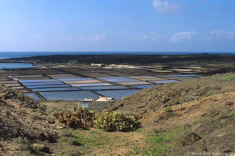 Salinas de Janubio