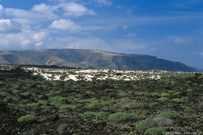 Malpaís de la Corona