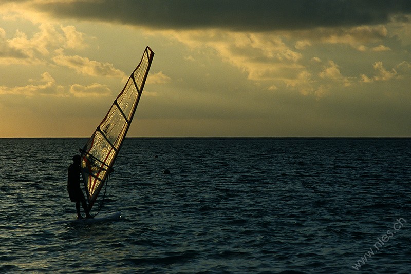 Surfen ohne Wind © Bernd Nies