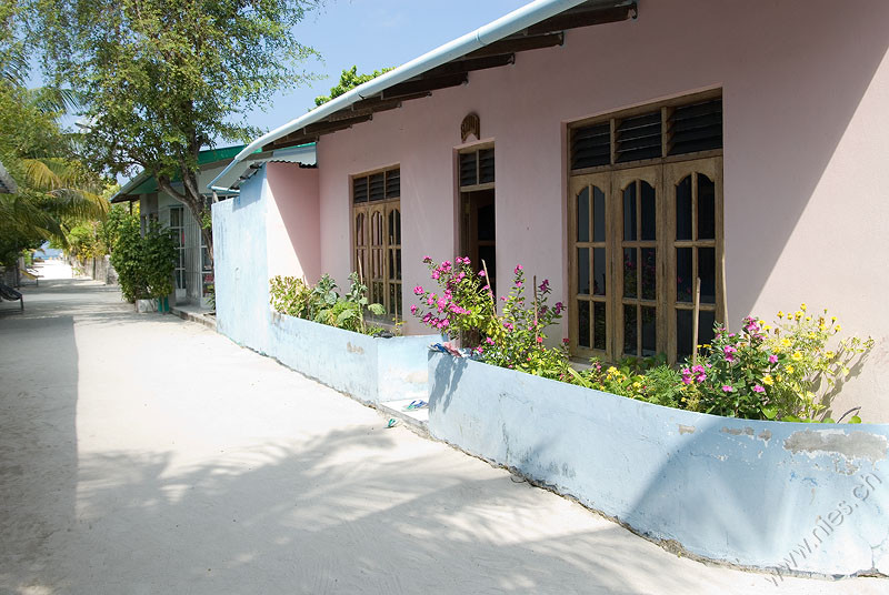 Dhangethi Street 1