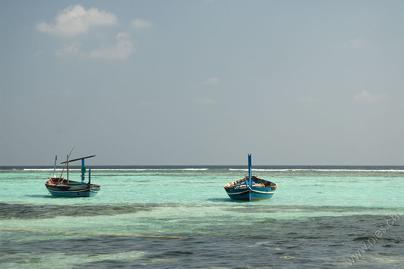 Dhangethi boats