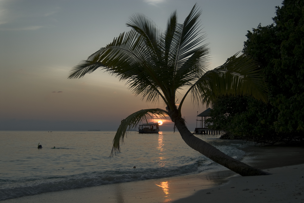 Sonnenuntergang mit Palme © Bernd Nies