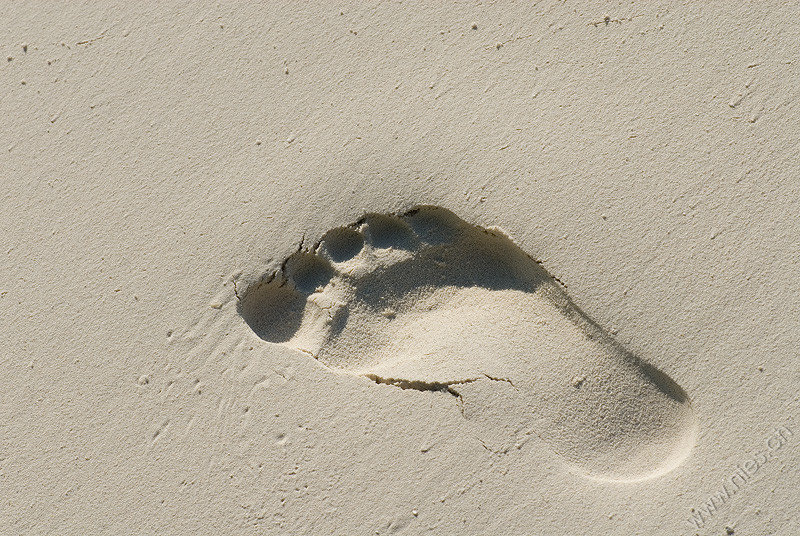 Footprint © Bernd Nies