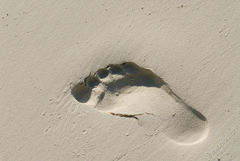 Footprint