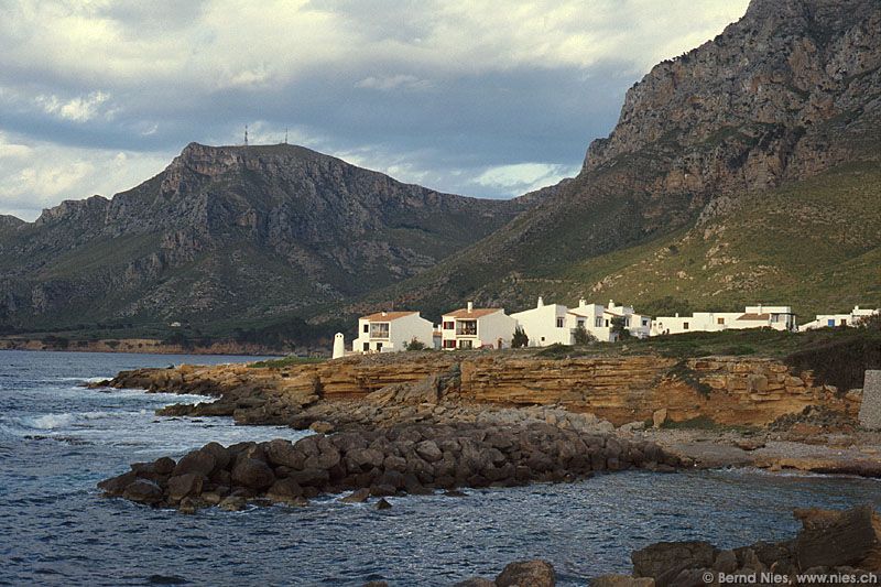 Houses on Coast