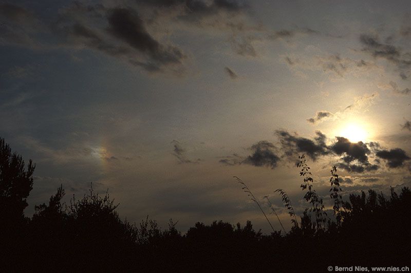 Sundog