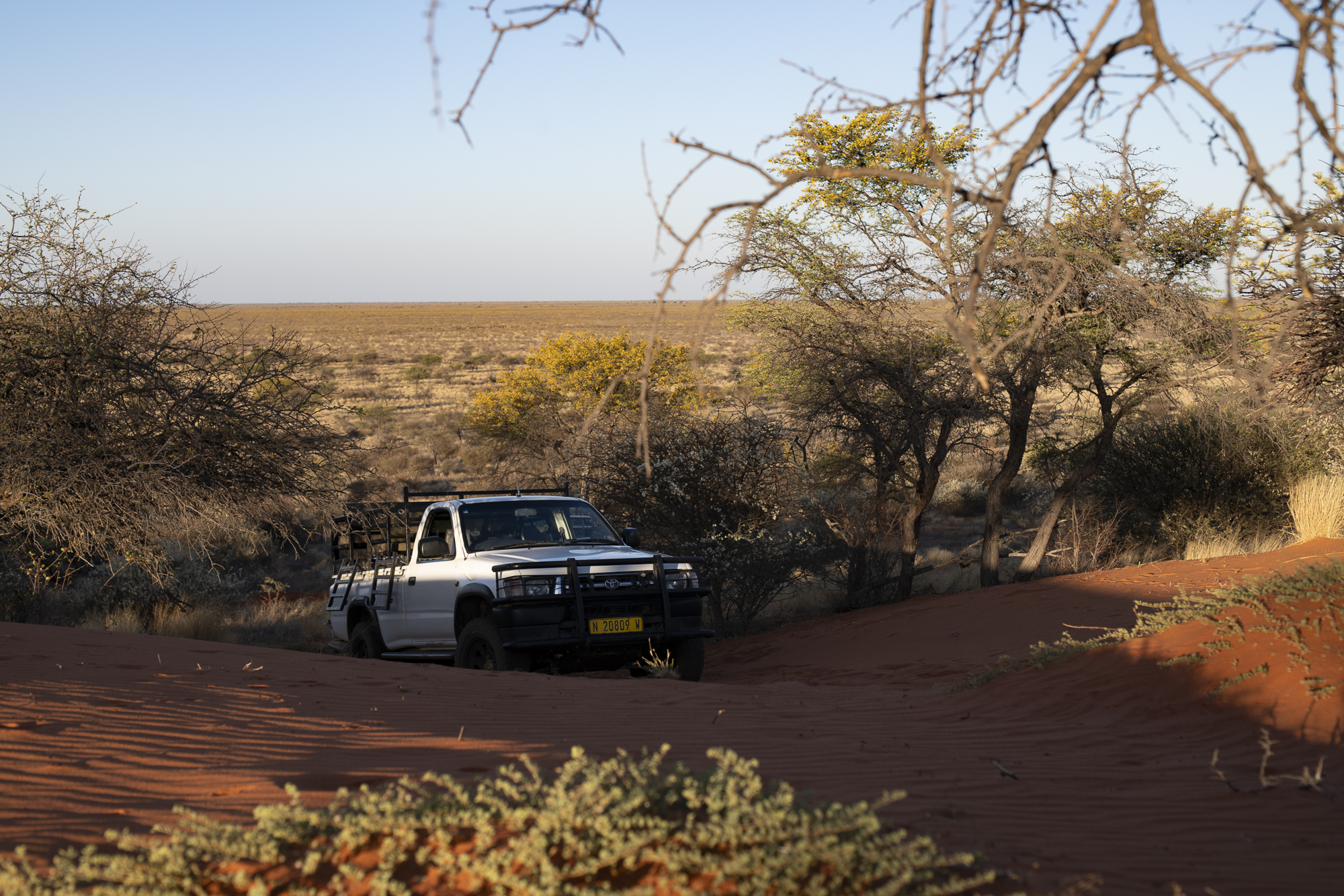 Excursion to Neighbor's Dune for Sunset Aperitif