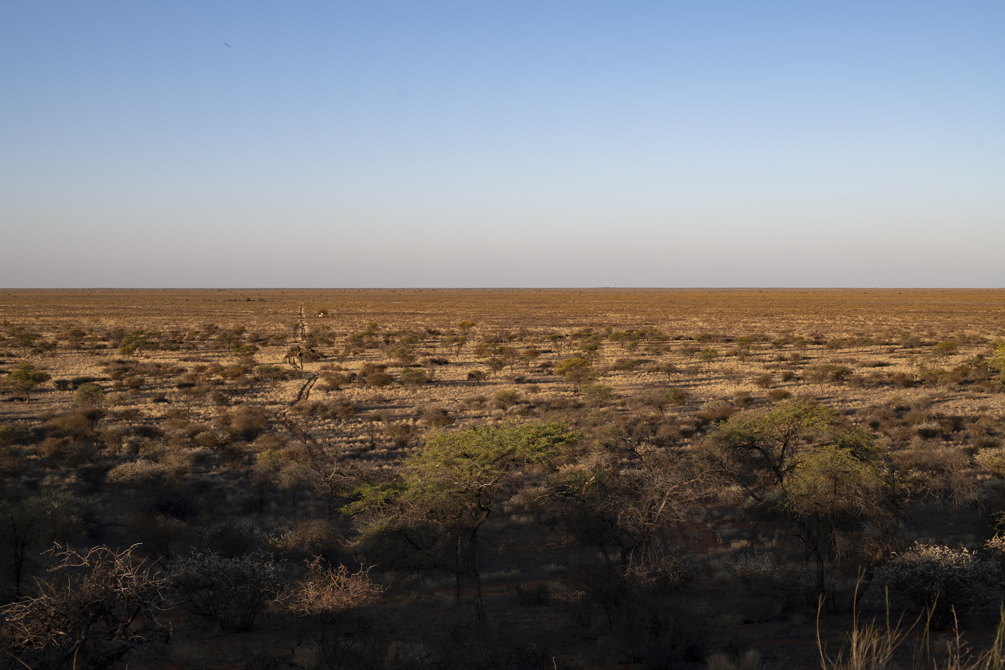 On Neighbor's Dune