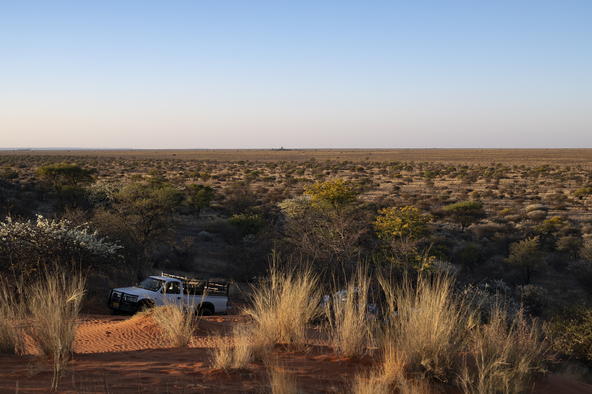 On Neighbor's Dune. The Earth is flat. Here's the proof!