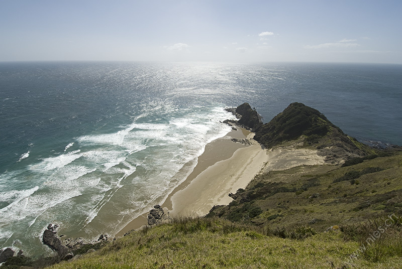 Cape Reinga