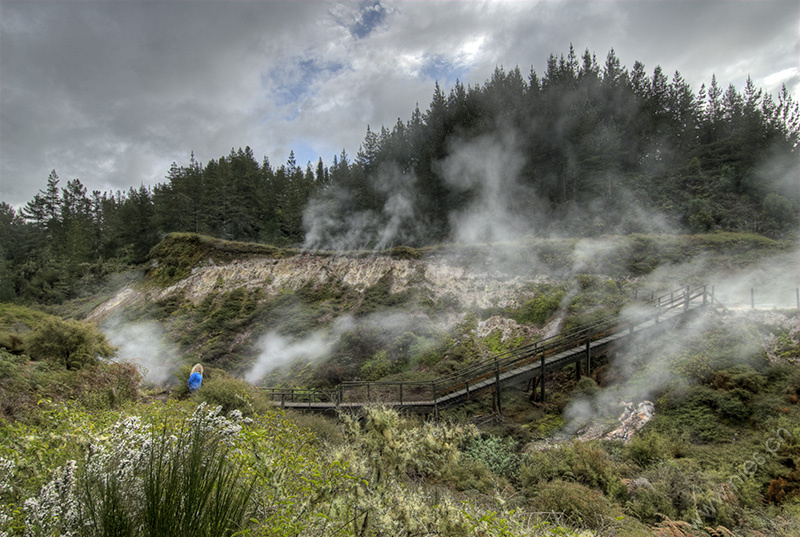 Wairakei Thermal Valley