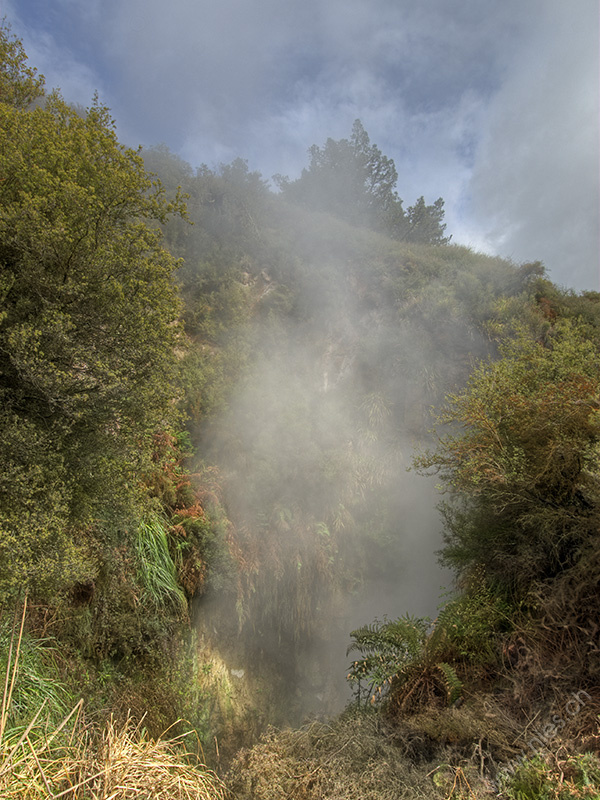 Wairakei Thermal Valley