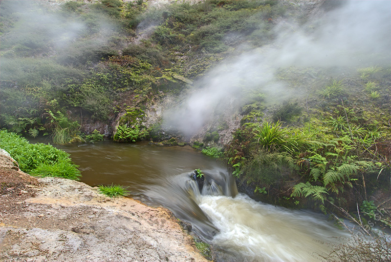 Wairakei Thermal Valley