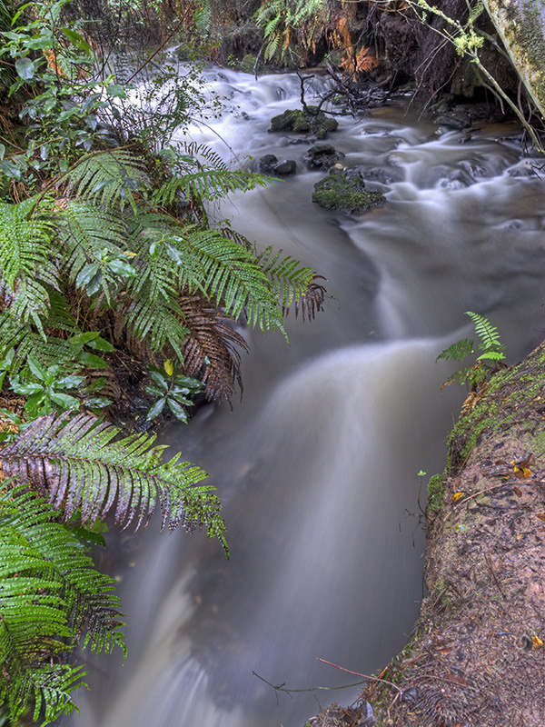 Wairakei Thermal Valley