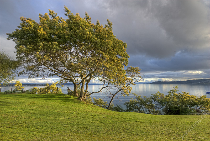 Lake Taupo