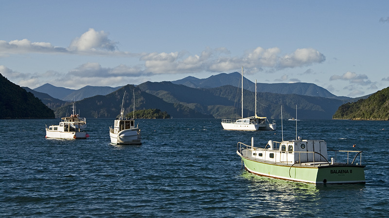 Picton Harbour