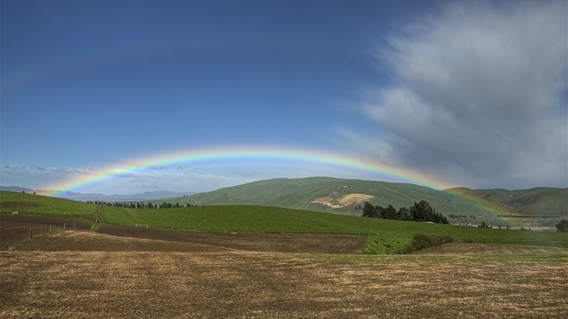 Regenbogen