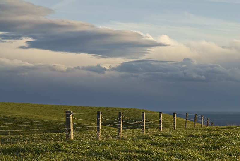 Fence