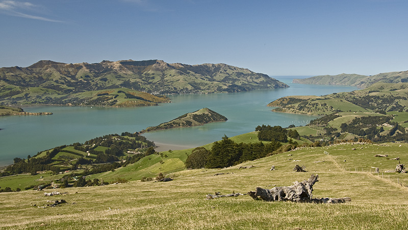 Banks Peninsula