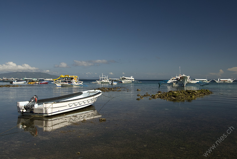 Boats in the water