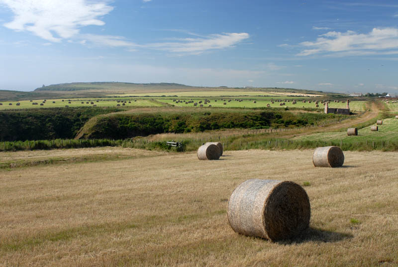 straw bale