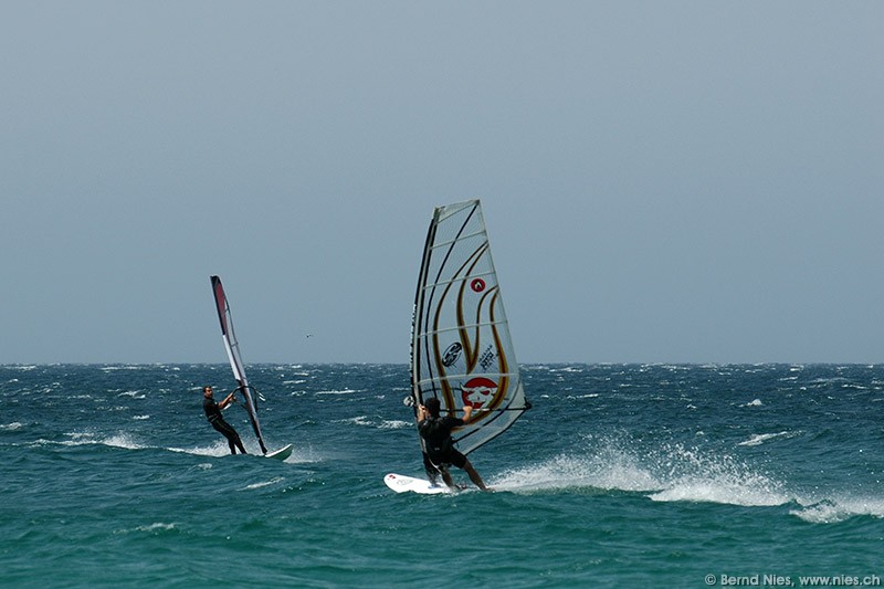 Windsurfers