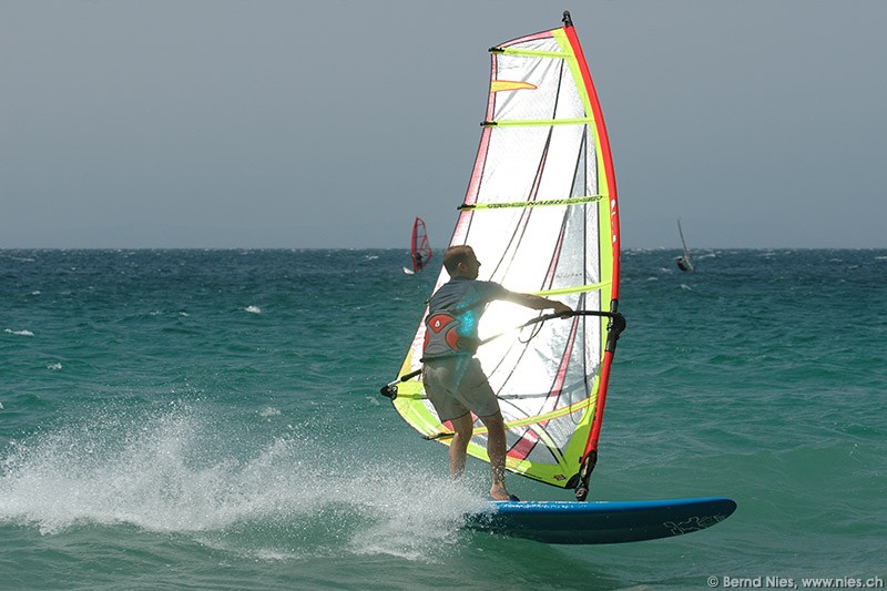 Windsurfer