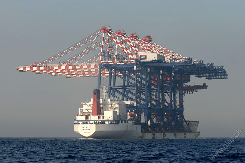 Zhen Hua 8