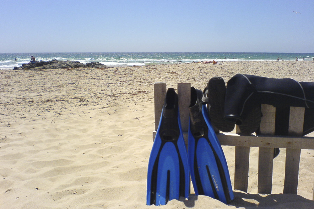 Fins on the beach