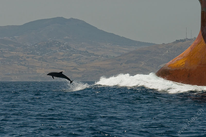 Bow wave riding