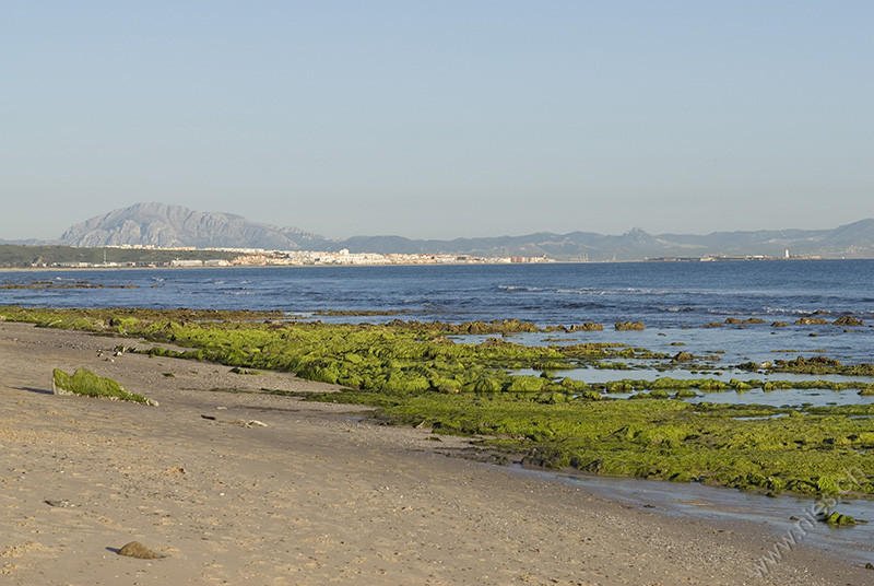 Tarifa mit Mosesberg