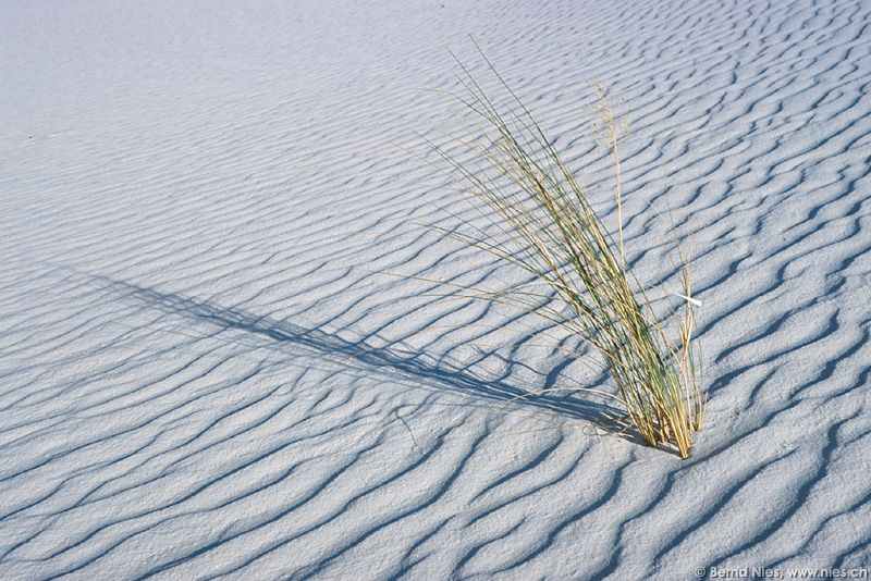 White Sands  © Bernd Nies