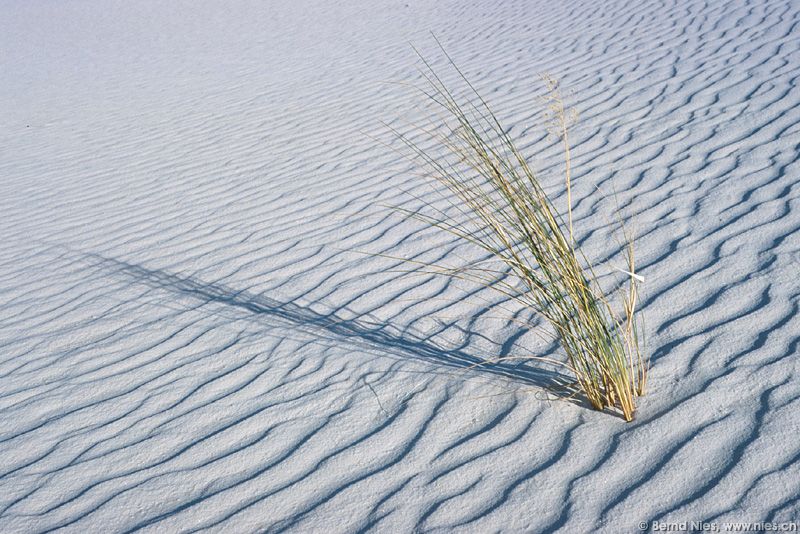 White Sands