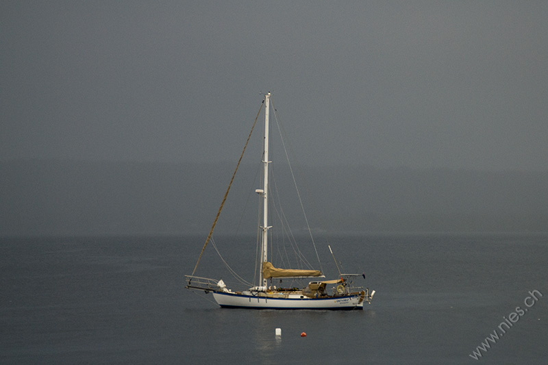 Sailing Boat