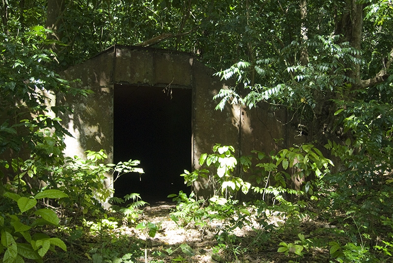 Bunker