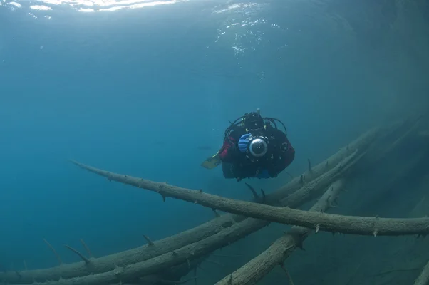 Diver with camera