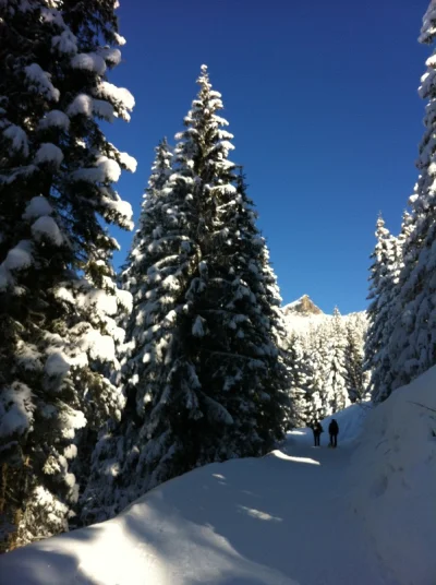 Sledding Druesberg Hut