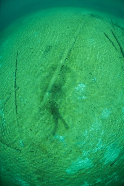 Diver with Halo