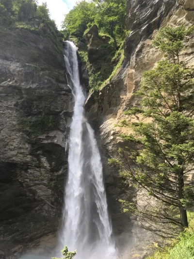 Reichenbachfall 1