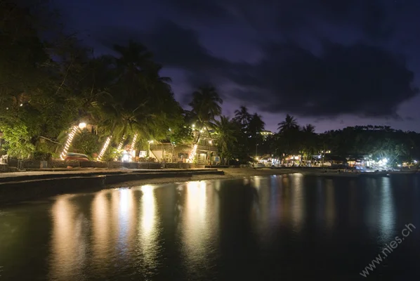 Luminous palm trees