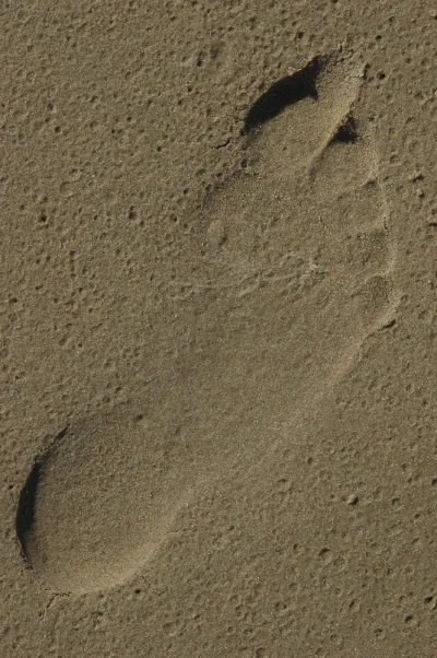 footprint in the sand