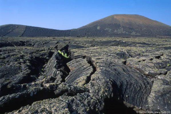 Lava stream