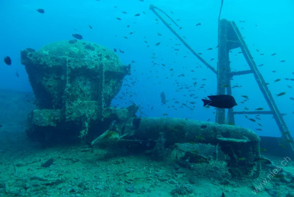 Wreck SS Thistlegorm