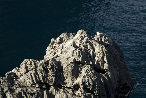 Sa Calobra