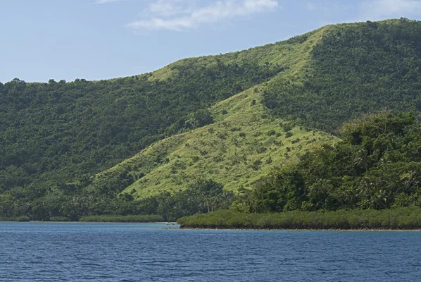 Grüne Insel