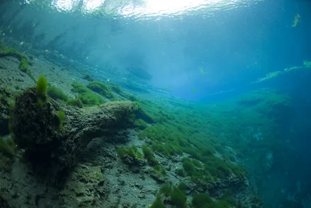 Saki Blue Hole