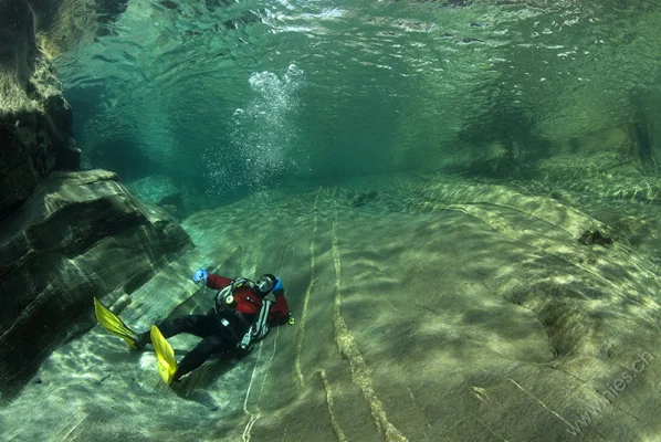 Diver Taking a nap