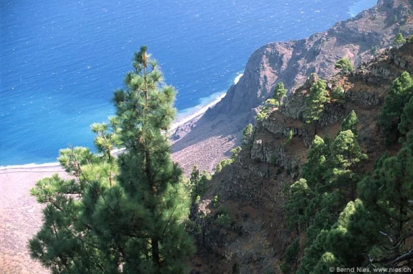 Mirador de Las Playas