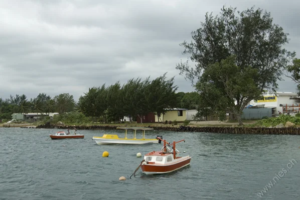 Boats in Harbour